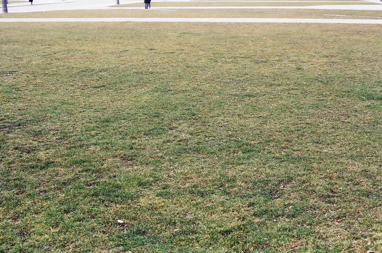 Gras-drüber-wachsen-lassen